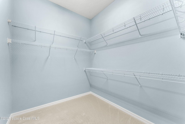 6794 Vista Hermosa Dr, Melbourne, FL 32940 - walk in closet with carpet floors