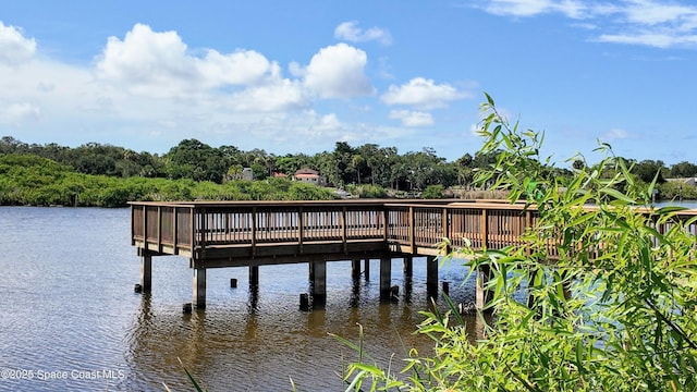 959 Eyerly Ln NE, Palm Bay, FL 32905 - photo 106