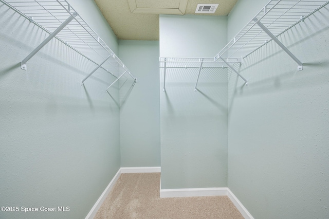 5807 N Atlantic Ave Unit 521, Cape Canaveral, FL 32920 - spacious closet with carpet flooring