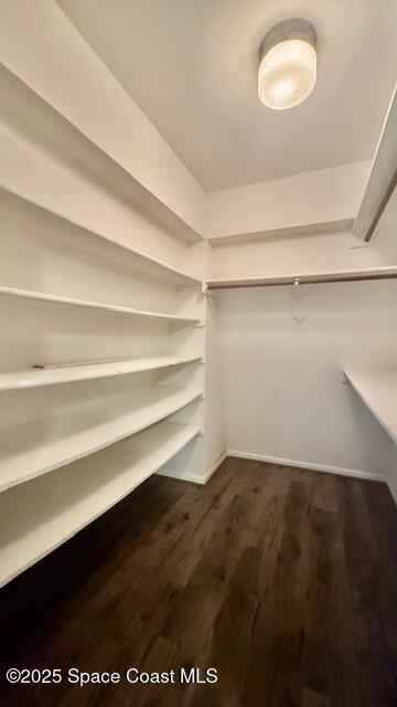 1648 S Park Ave, Titusville, FL 32780 - walk in closet featuring dark wood-type flooring