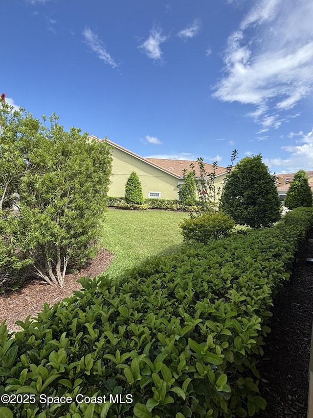 3455 Sedge Dr, Rockledge, FL 32955 - view of yard