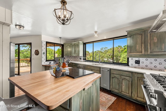 kitchen with green cabinets, appliances with stainless steel finishes, wooden counters, a sink, and dark wood-style flooring