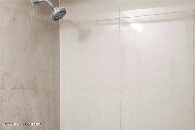 326 Brescia St NE, Palm Bay, FL 32907 - bathroom view of a shower