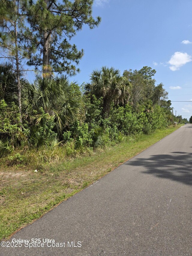 2699 Fitzpatrick Ave SW, Palm Bay, FL 32908 - photo 4