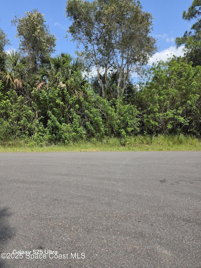 2699 Fitzpatrick Ave SW, Palm Bay, FL 32908 - photo 3