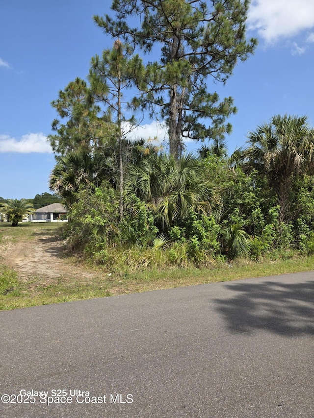 2699 Fitzpatrick Ave SW, Palm Bay, FL 32908 - photo 2