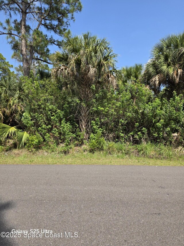 2699 Fitzpatrick Ave SW, Palm Bay, FL 32908 - photo 1