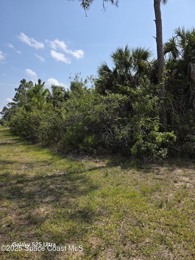 2699 Fitzpatrick Ave SW, Palm Bay, FL 32908 - photo 6