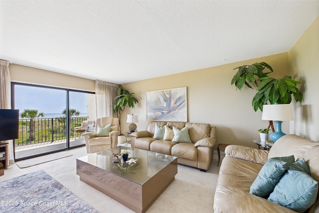 living area with a textured ceiling