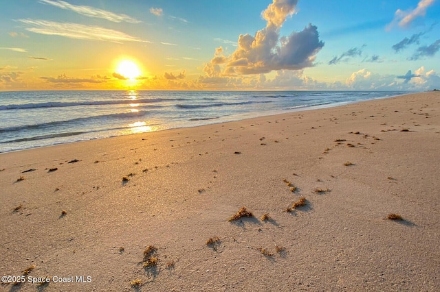 411 Dove Ln Unit 6-11, Satellite Beach, FL 32937 - water view featuring nearby beach