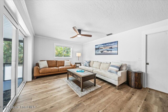 515 Hibiscus Trl, Melbourne Beach, FL 32951 - living room featuring light wood-style flooring, ornamental molding, a textured ceiling, and ceiling fan