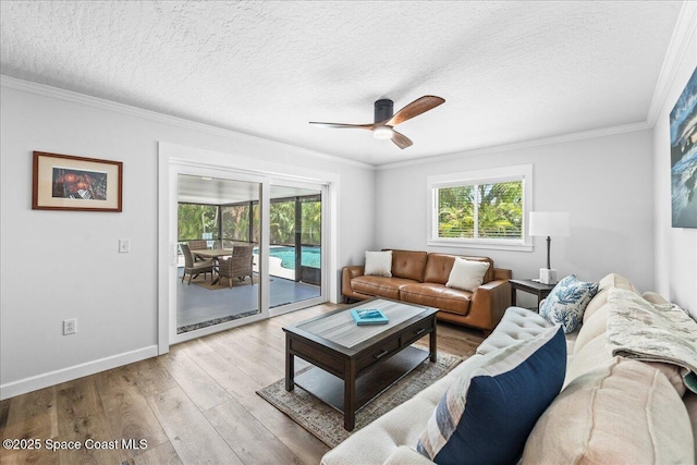 515 Hibiscus Trl, Melbourne Beach, FL 32951 - living room featuring crown molding, wood finished floors, ceiling fan, a textured ceiling, and baseboards