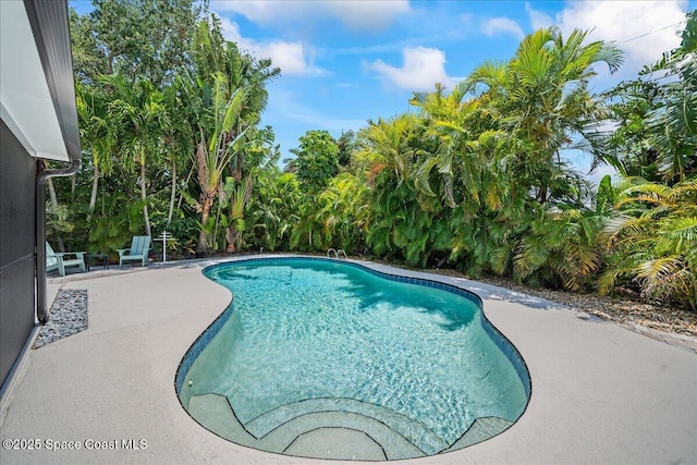515 Hibiscus Trl, Melbourne Beach, FL 32951 - outdoor pool with a patio