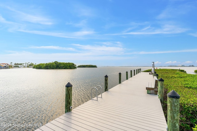 dock area with a water view