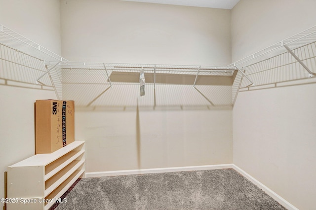 spacious closet with carpet