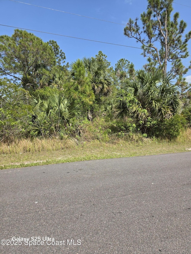 2837 Fitzpatrick Ave SW, Palm Bay, FL 32908