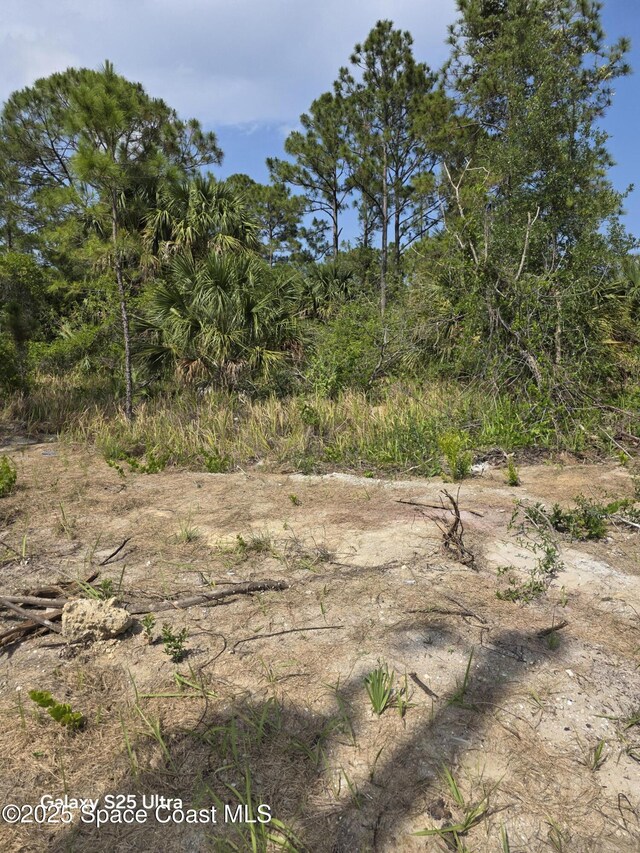2837 Fitzpatrick Ave SW, Palm Bay, FL 32908