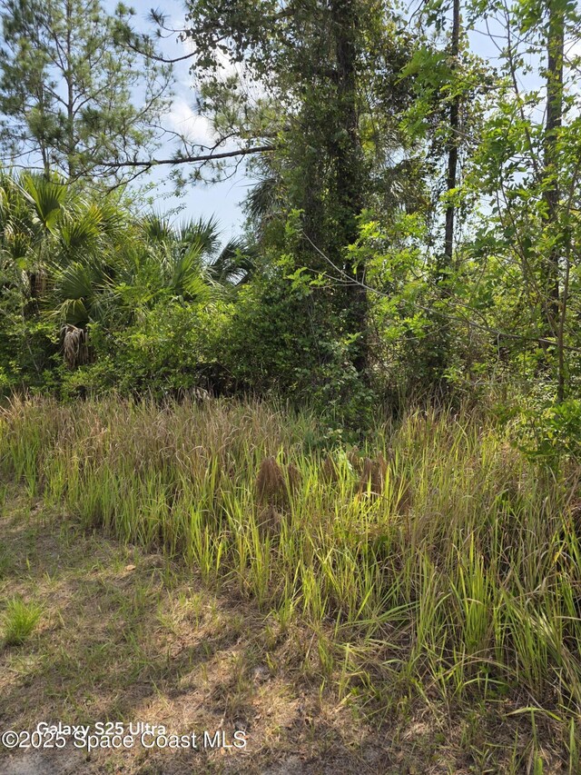 2837 Fitzpatrick Ave SW, Palm Bay, FL 32908