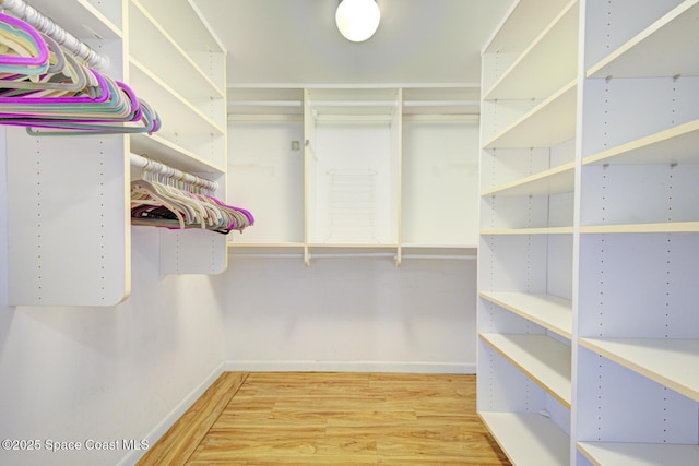 spacious closet featuring wood finished floors