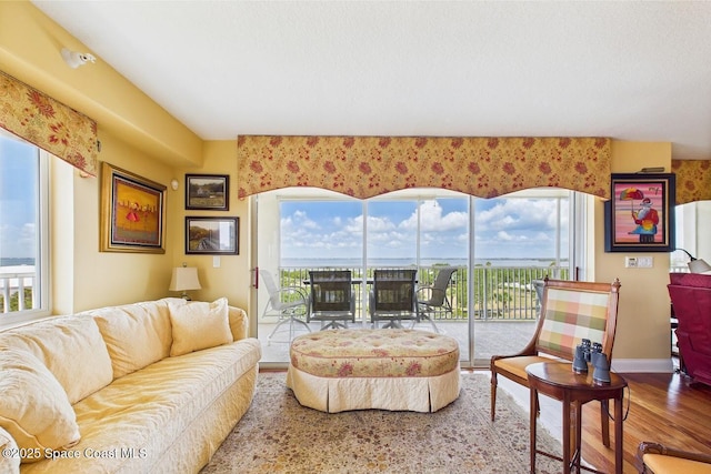 732 Bayside Dr Unit 501, Cape Canaveral, FL 32920 - living room featuring wood finished floors and baseboards