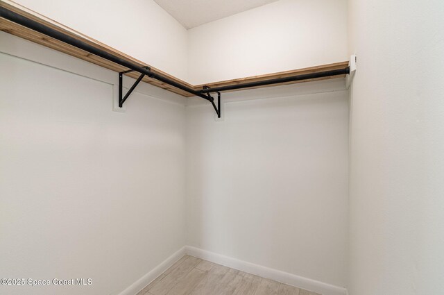 walk in closet featuring light wood finished floors