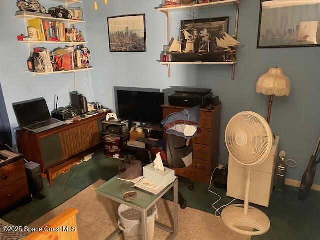 office with carpet flooring