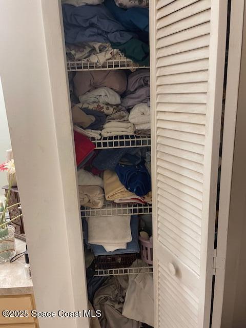 view of closet