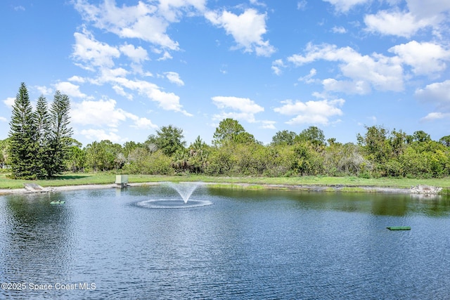 1420 Huntington Ln Unit 2402, Rockledge, FL 32955 - water view featuring a forest