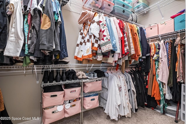 3631 Stabane Pl, Melbourne, FL 32940 - spacious closet with carpet