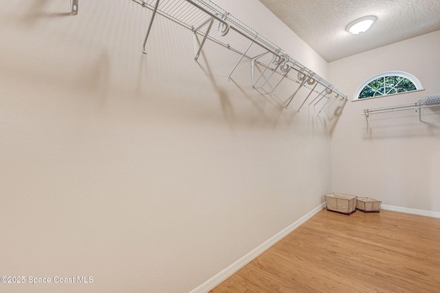 178 Cove Loop Dr, Merritt Island, FL 32953 - spacious closet with wood finished floors