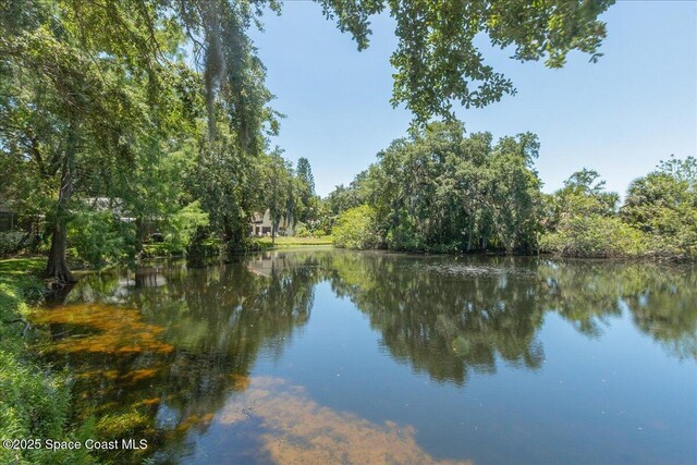 615 Lakewood Ln, Titusville, FL 32780 - photo 7