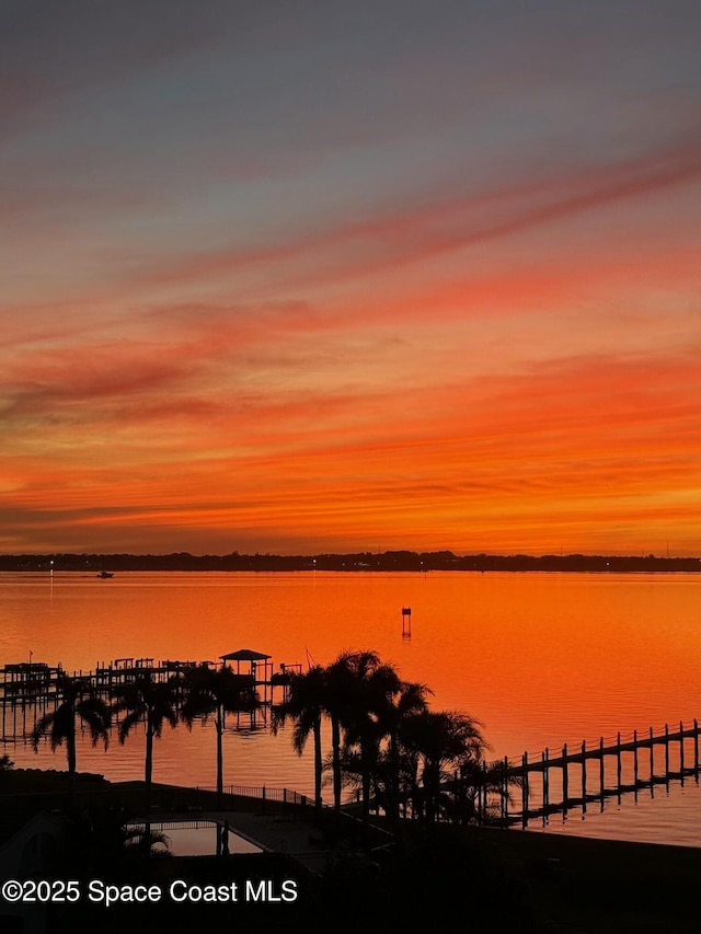 water view featuring a boat dock