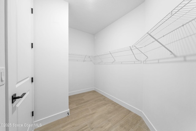 2990 Hackensack Ave SE, Palm Bay, FL 32909 - walk in closet featuring light wood-style flooring