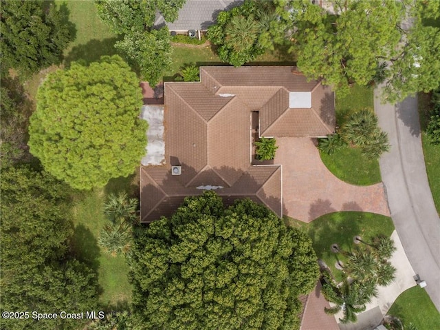 bird's eye view