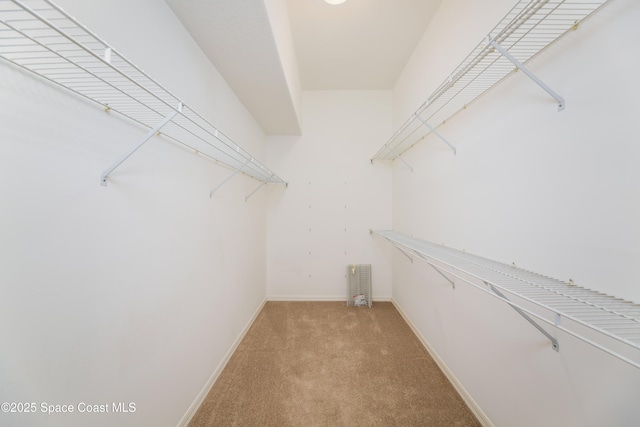 7433 Monterey Ct, Melbourne, FL 32940 - spacious closet featuring light carpet