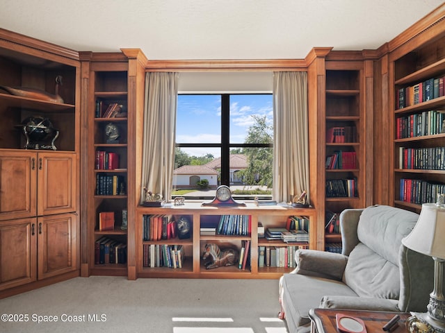 1013 Balmoral Way, Melbourne, FL 32940 - living area with wall of books and carpet flooring