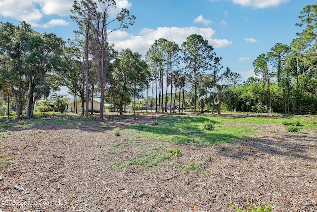 1389 Sequoia Rd NW, Palm Bay, FL 32907