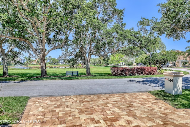 view of property's community with a yard