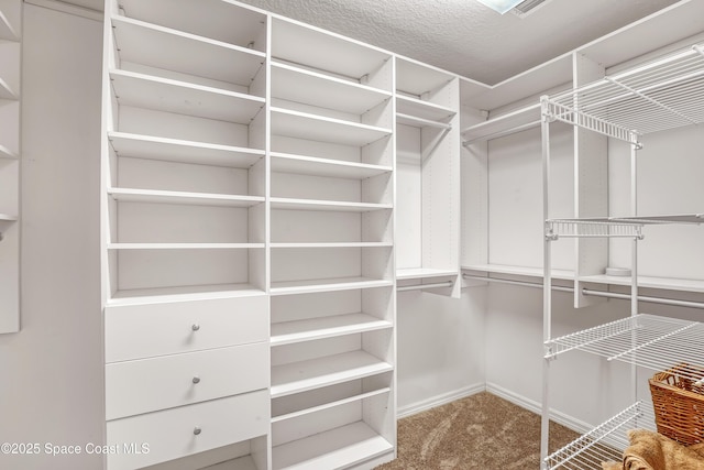 spacious closet with carpet