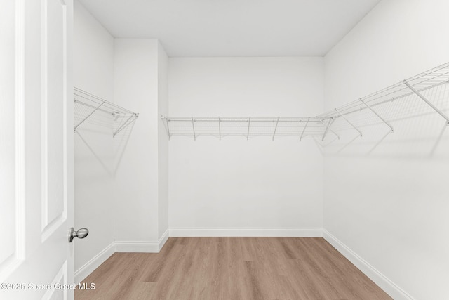 spacious closet with light wood finished floors