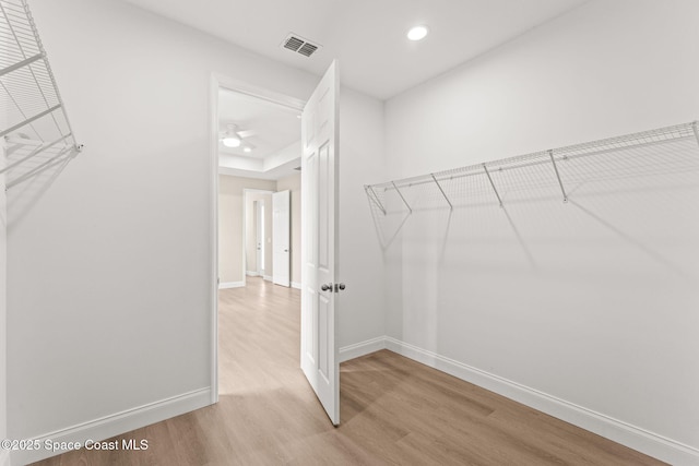 spacious closet with light wood-type flooring