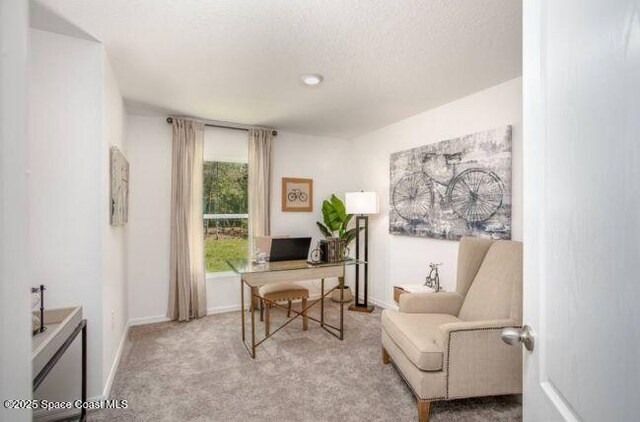 769 Olivia St SW, Palm Bay, FL 32908 - office area featuring carpet flooring and baseboards