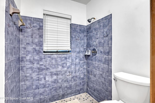 690 Koutnik Rd SE, Palm Bay, FL 32909 - bathroom with a tile shower and toilet