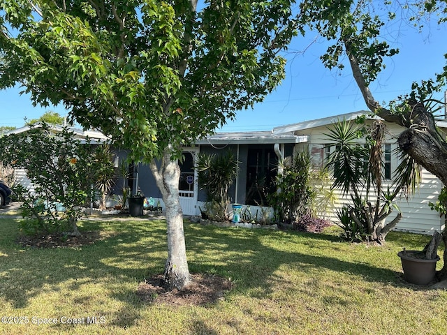 2174 Woodbury Rd, Melbourne, FL 32935 - view of property hidden behind natural elements with a front yard