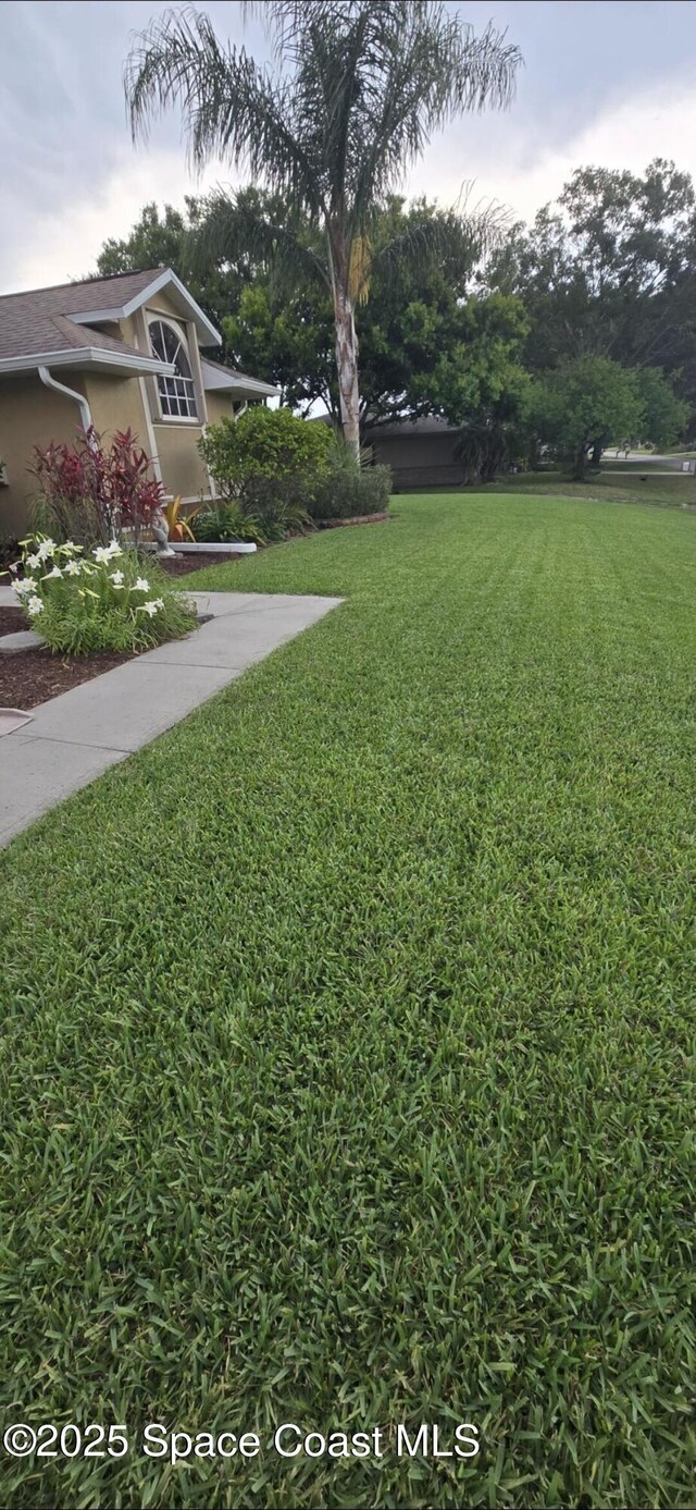 212 Nemo Cir NE, Palm Bay, FL 32907 - photo 7