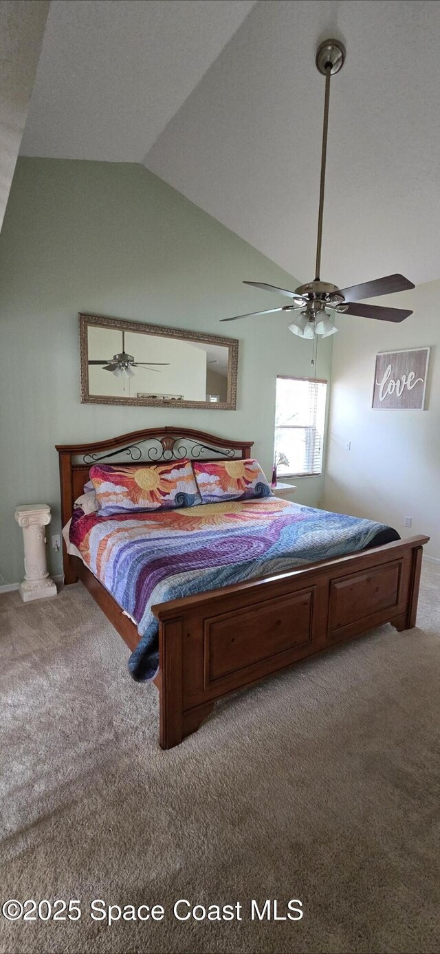 212 Nemo Cir NE, Palm Bay, FL 32907 - photo 27