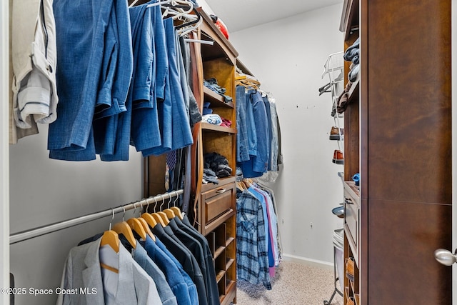 3575 Salt Marsh Cir, West Melbourne, FL 32904 - spacious closet featuring carpet flooring