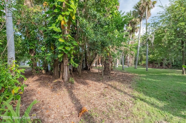 2318 Country Club Rd, Melbourne, FL 32901 - view of nature