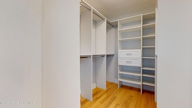 2287 Venetia Pl, Indialantic, FL 32903 - walk in closet with light wood-style floors