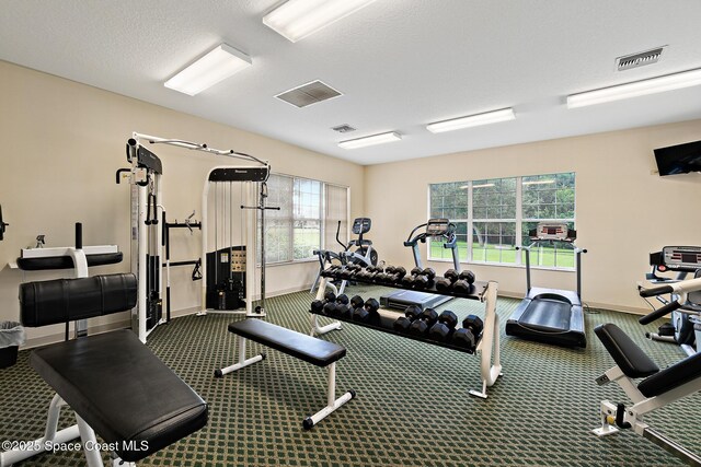 3848 Lexmark Ln Unit 307, Rockledge, FL 32955 - gym with baseboards and carpet floors